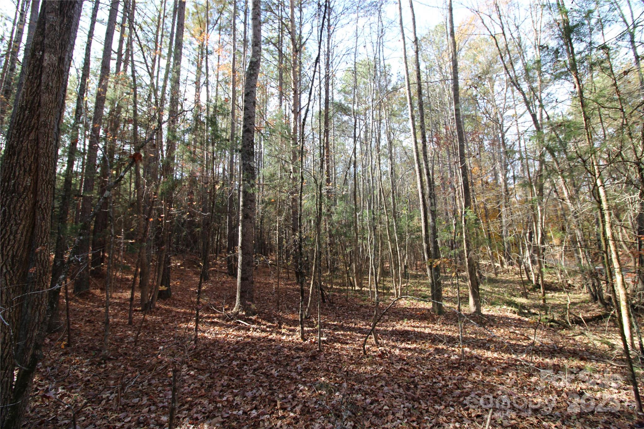 5+/-AC Bookout Road
