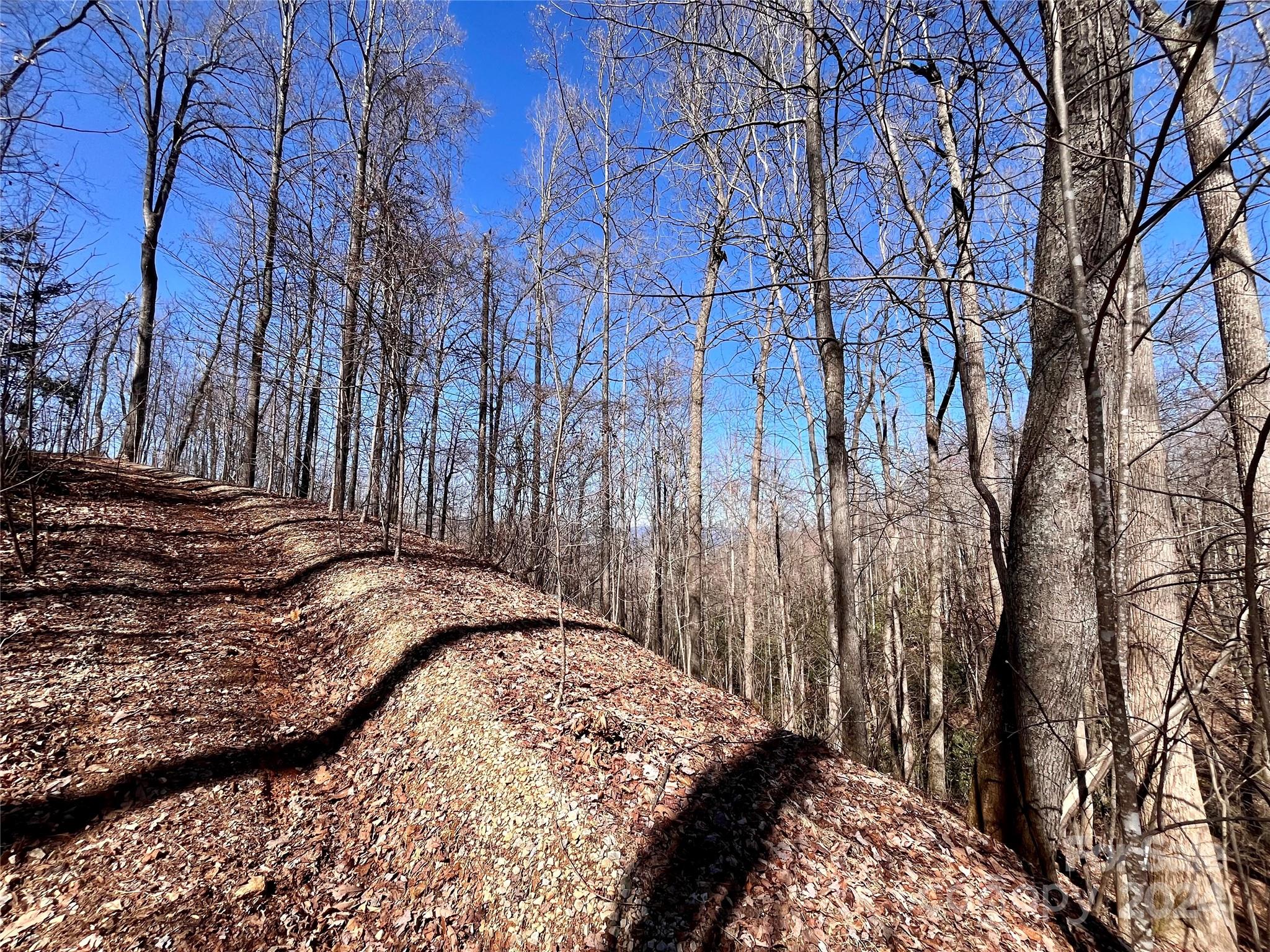 Forest Heights - Land