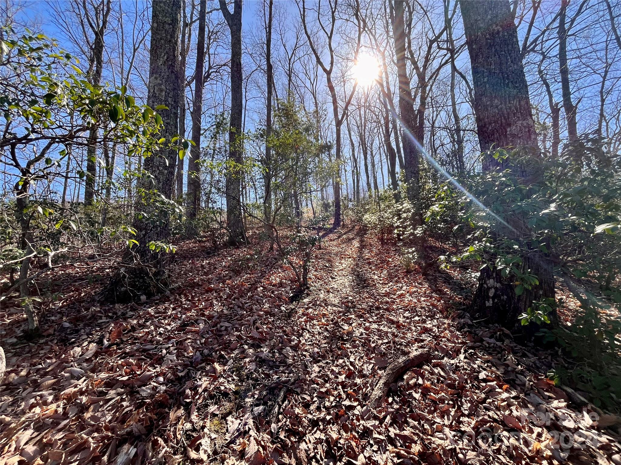 Forest Heights - Land