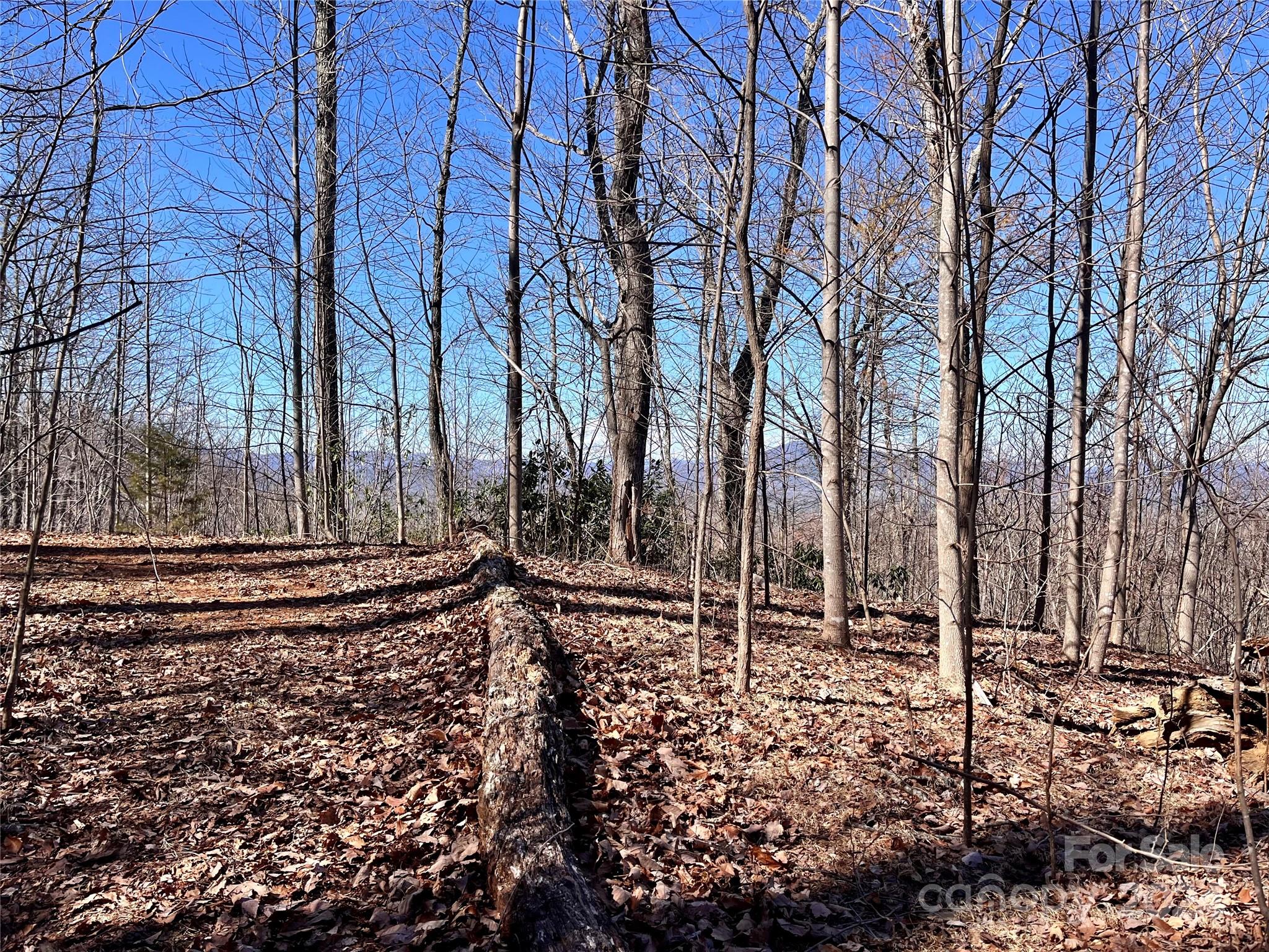 Forest Heights - Land