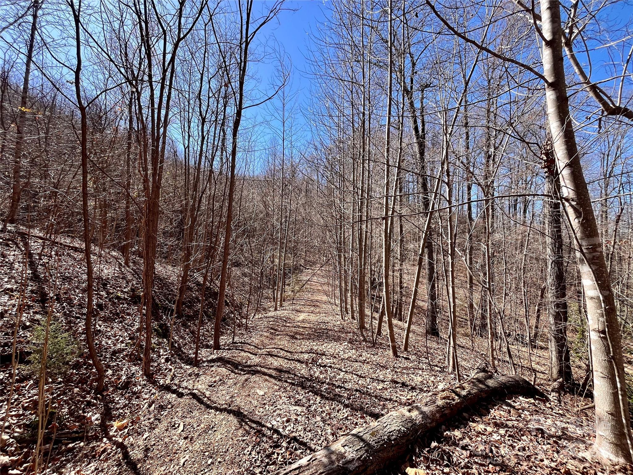 Forest Heights - Land