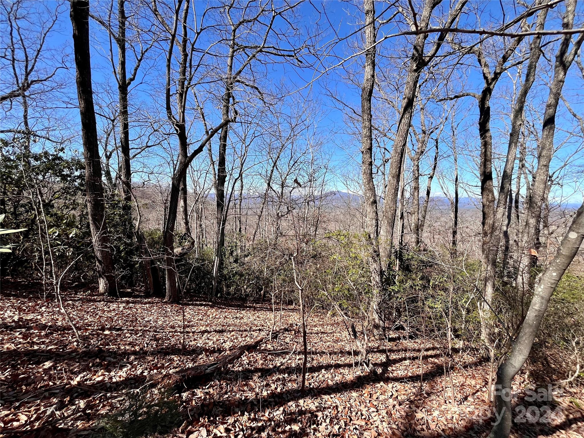 Forest Heights - Land