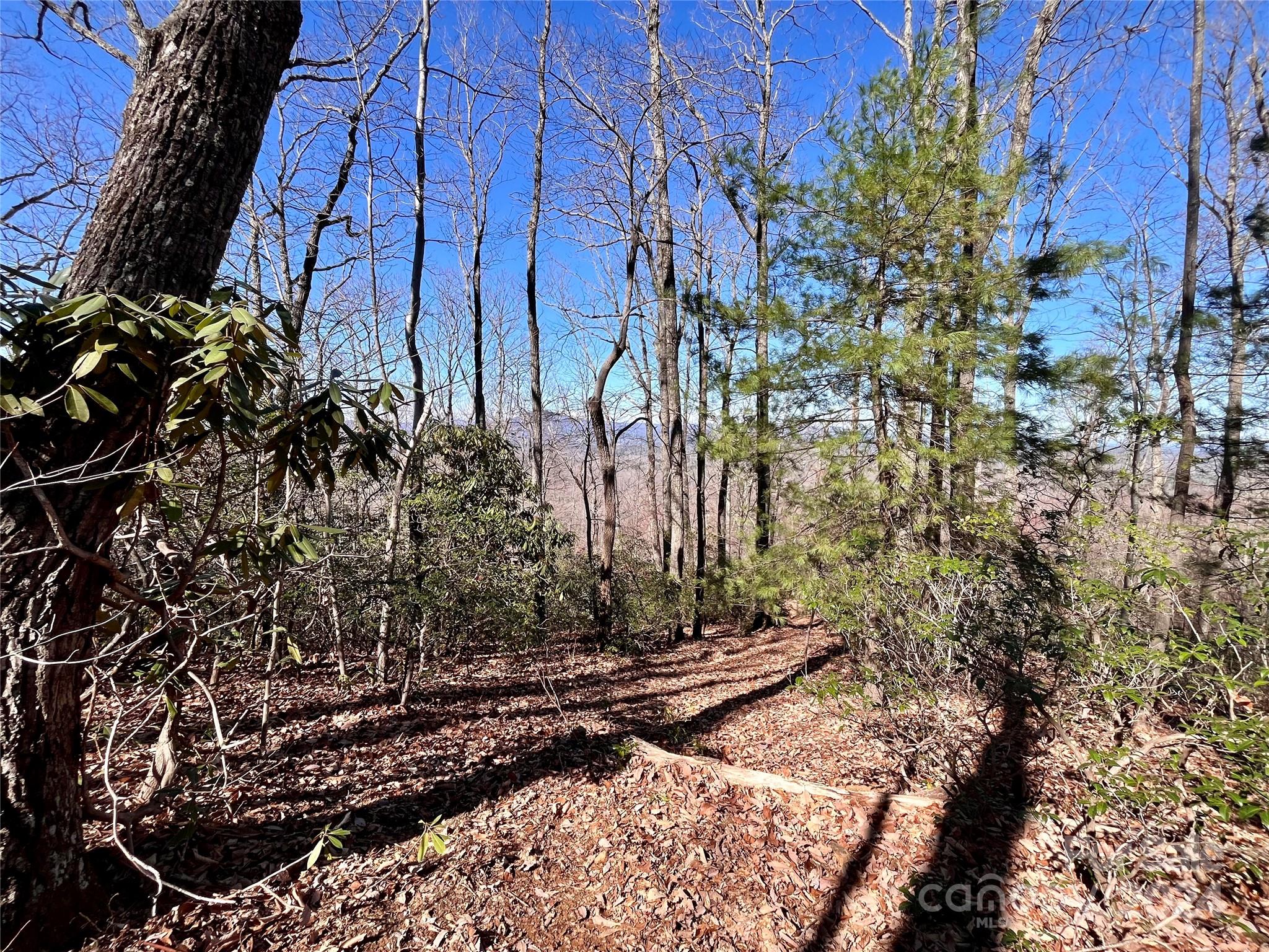 Forest Heights - Land