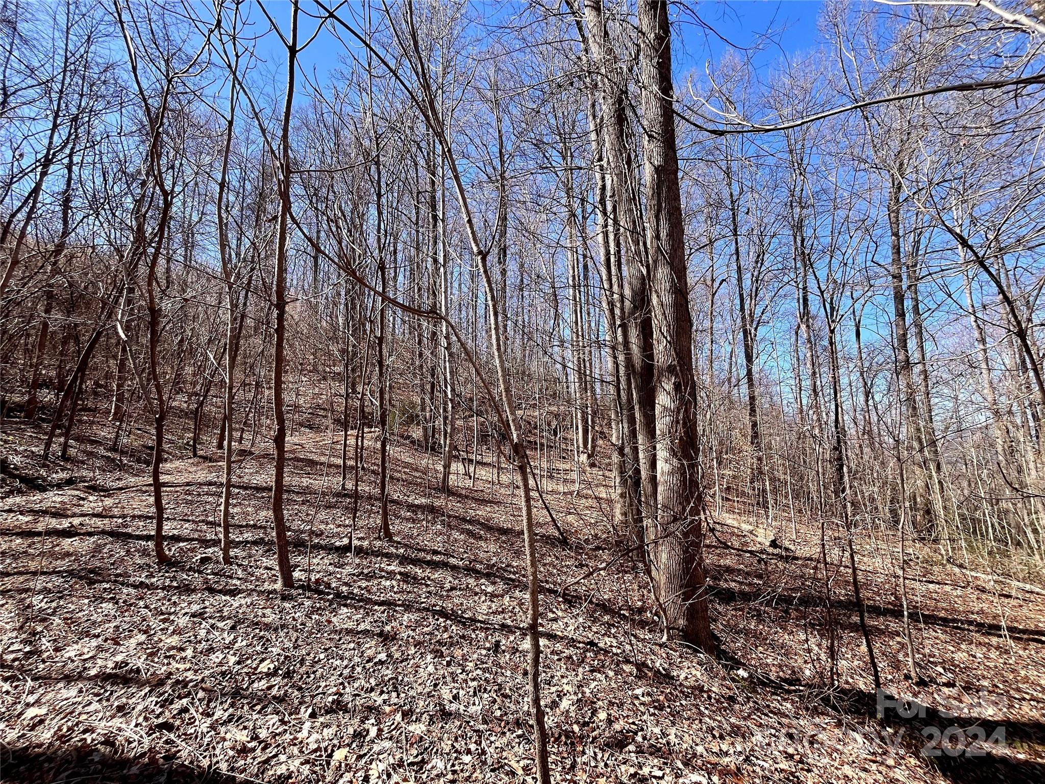 Forest Heights - Land