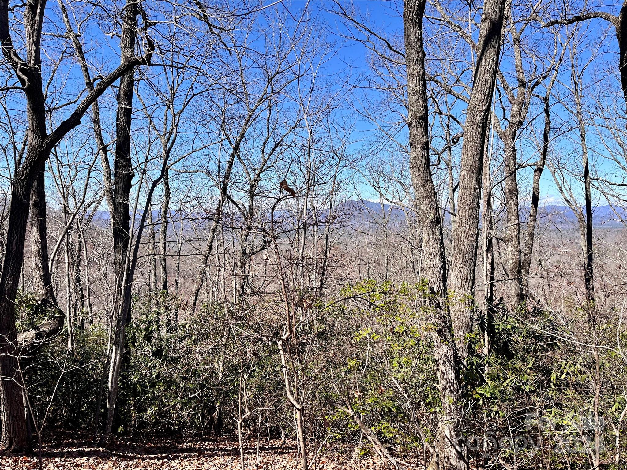 Forest Heights - Land