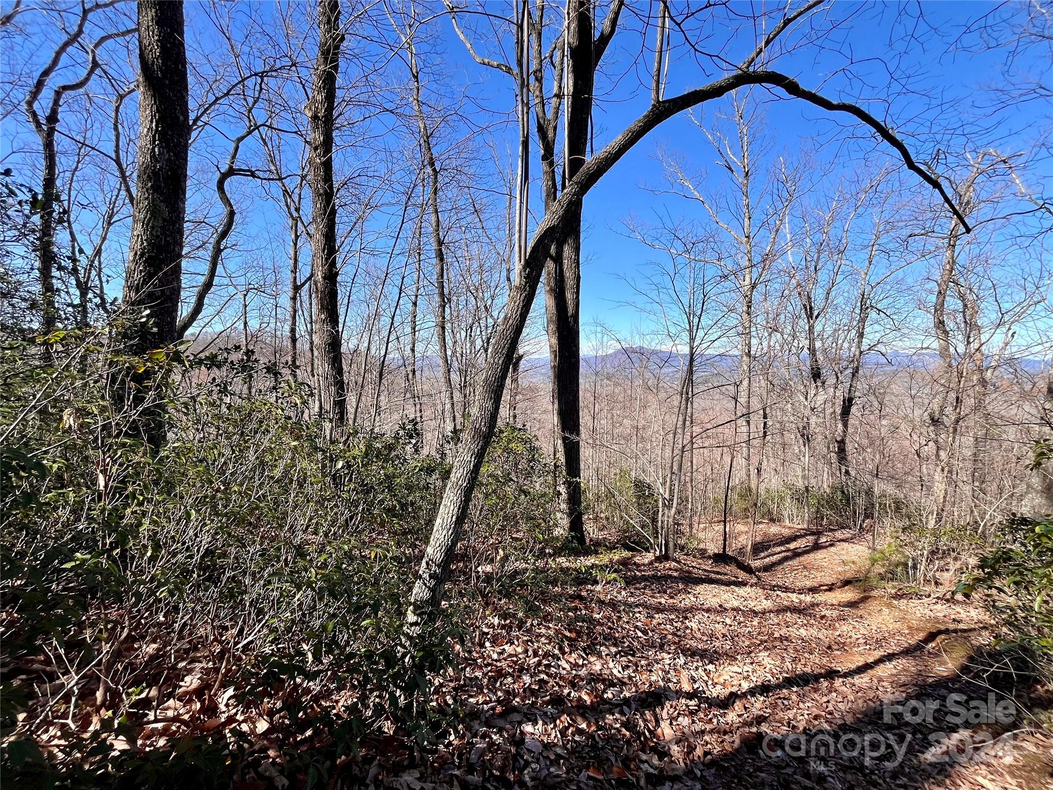 Forest Heights - Land