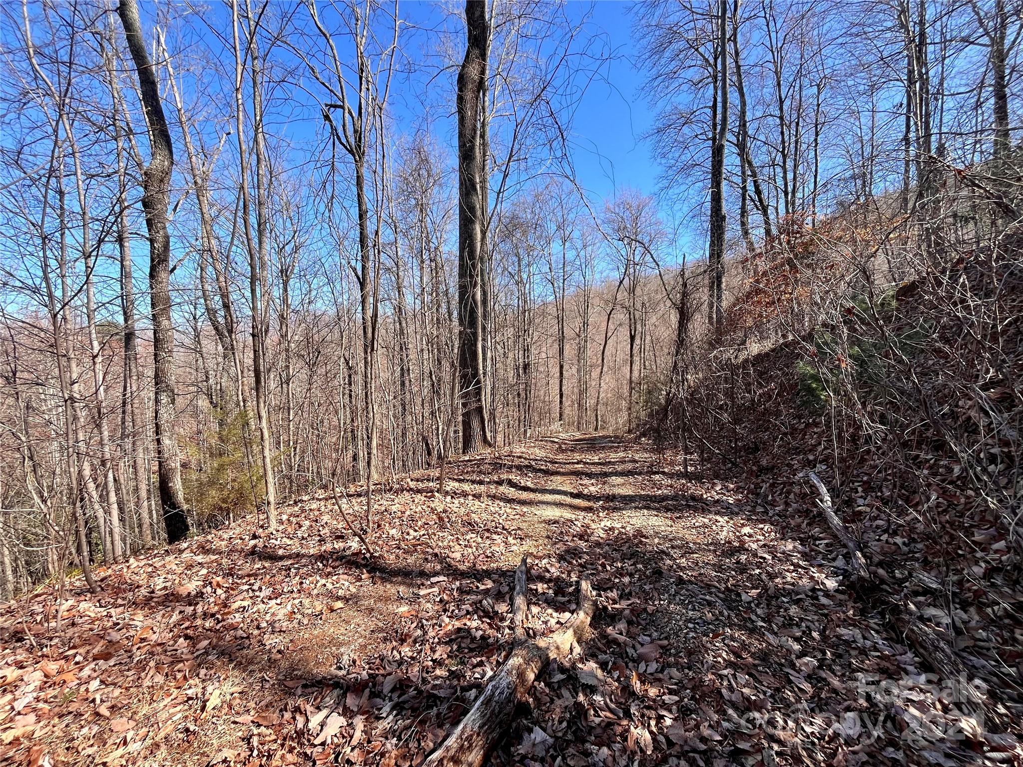 Forest Heights - Land