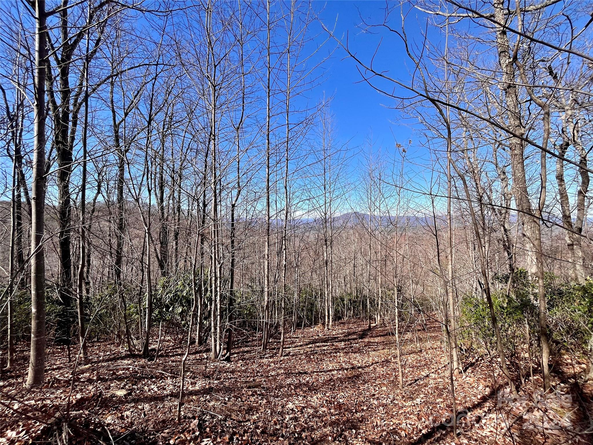 Forest Heights - Land