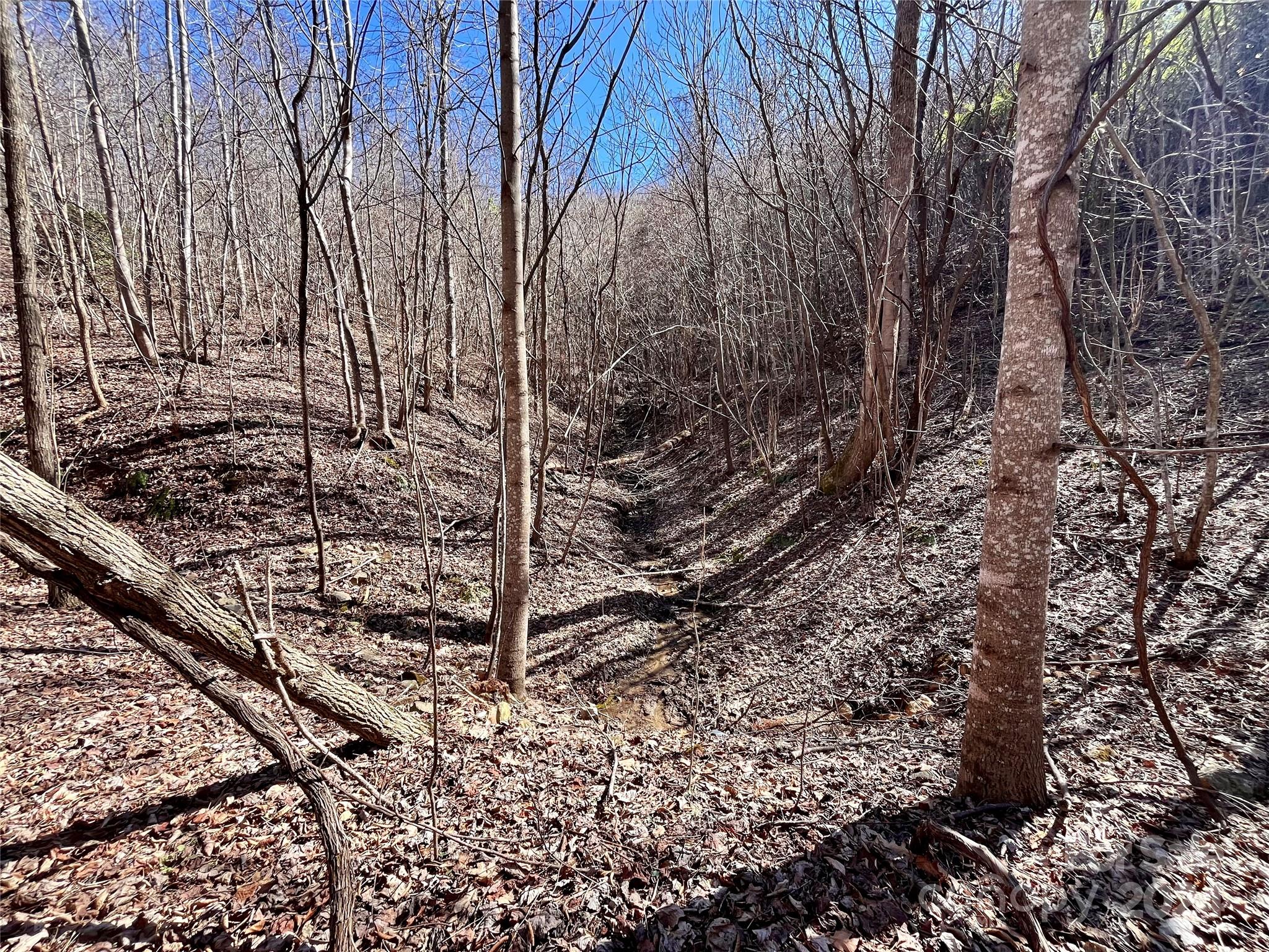 Forest Heights - Land