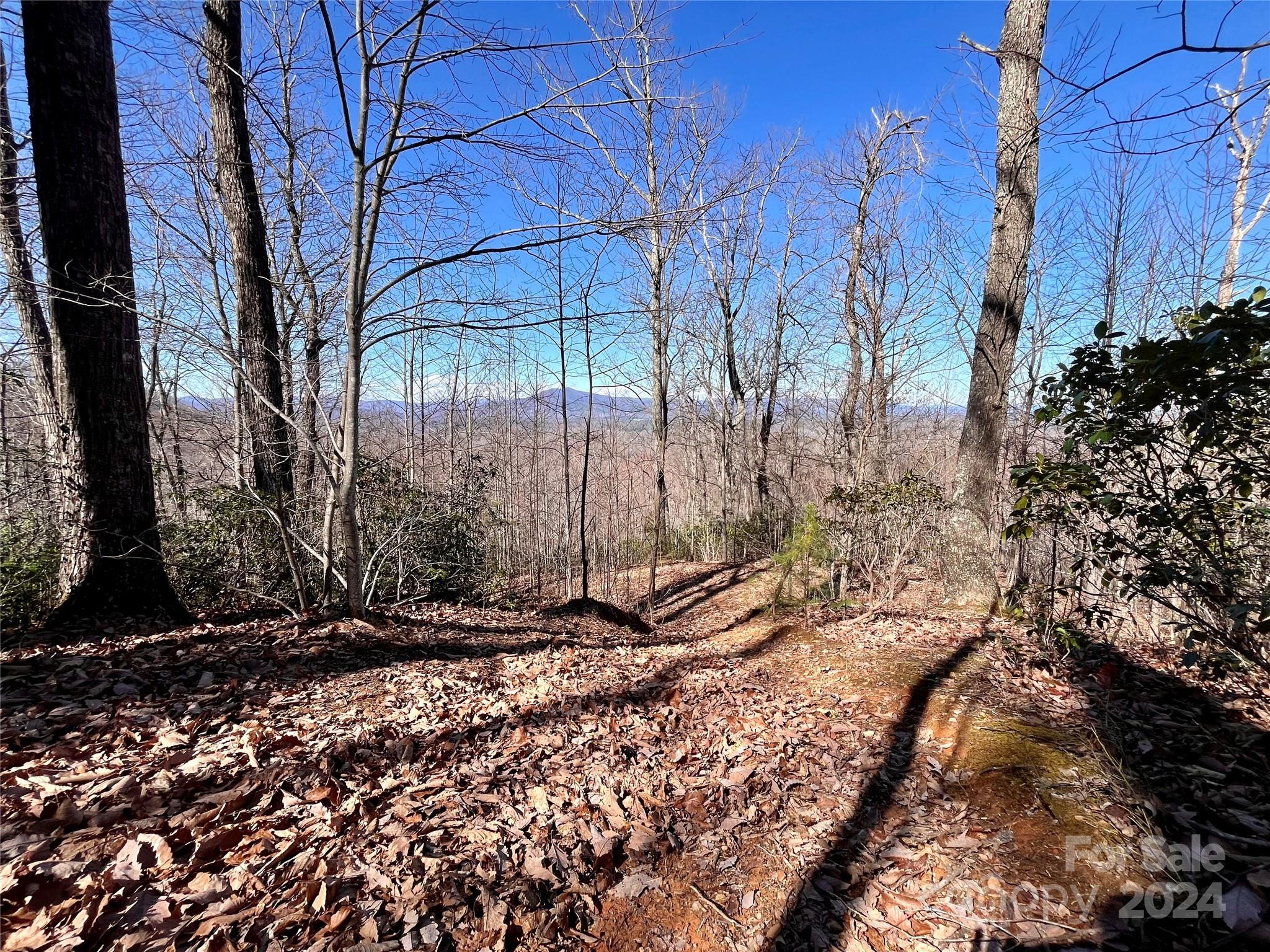 Forest Heights - Land