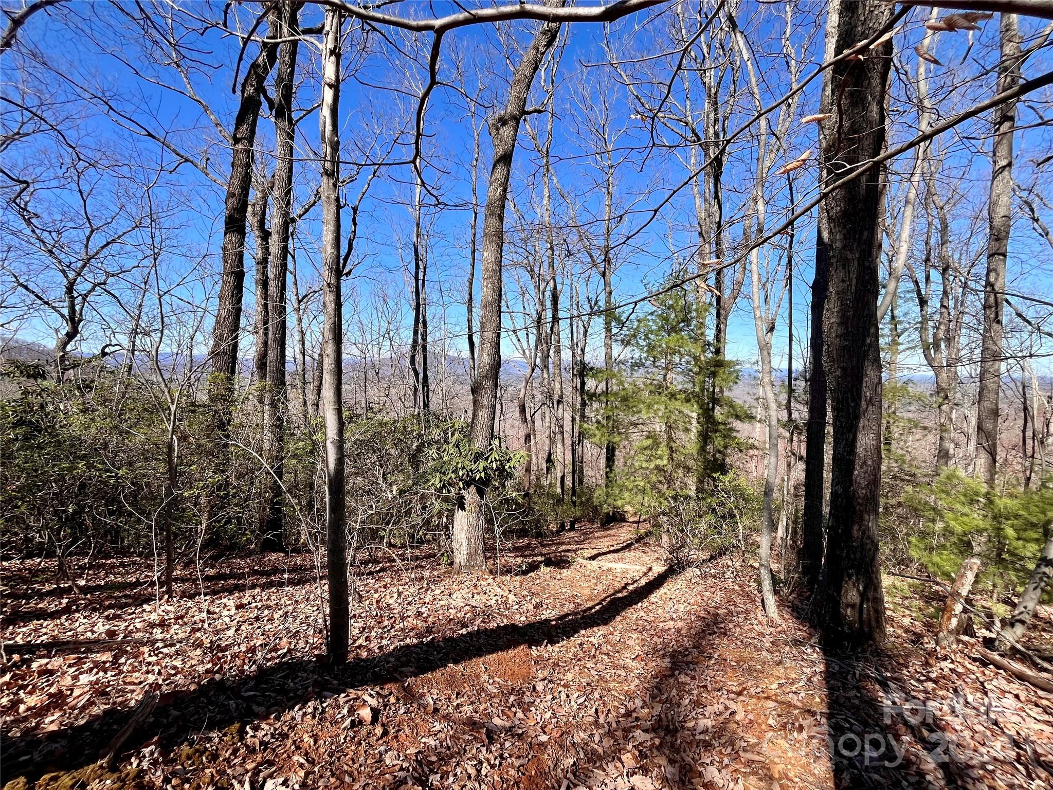 Forest Heights - Land