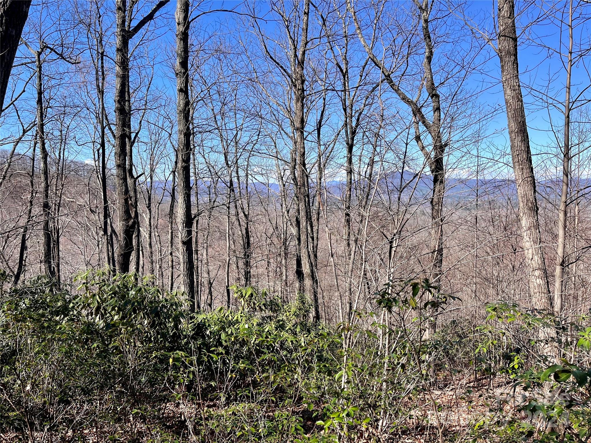 Forest Heights - Land