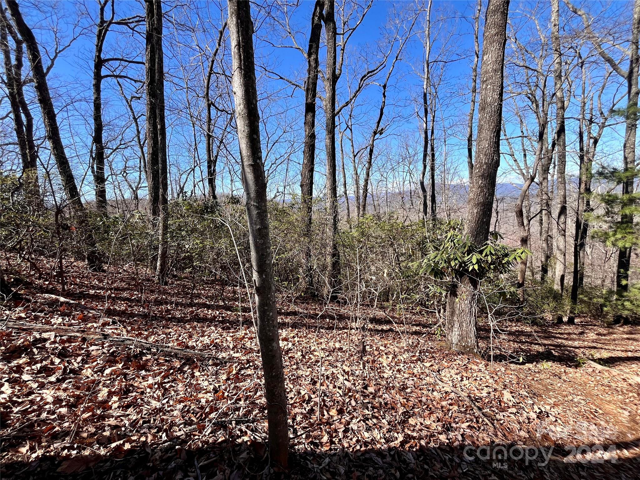 Forest Heights - Land