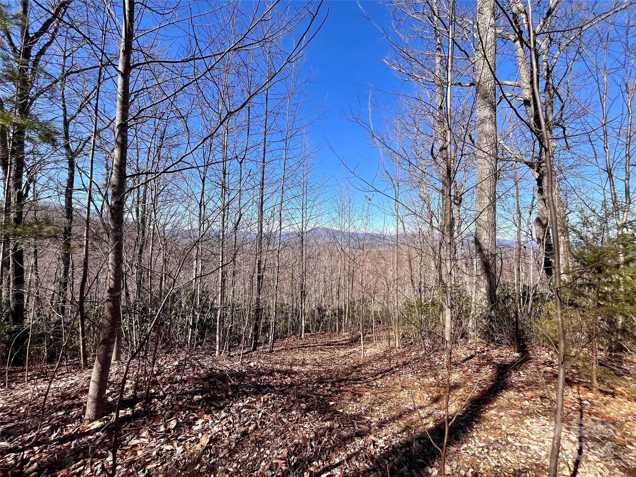 Forest Heights - Land