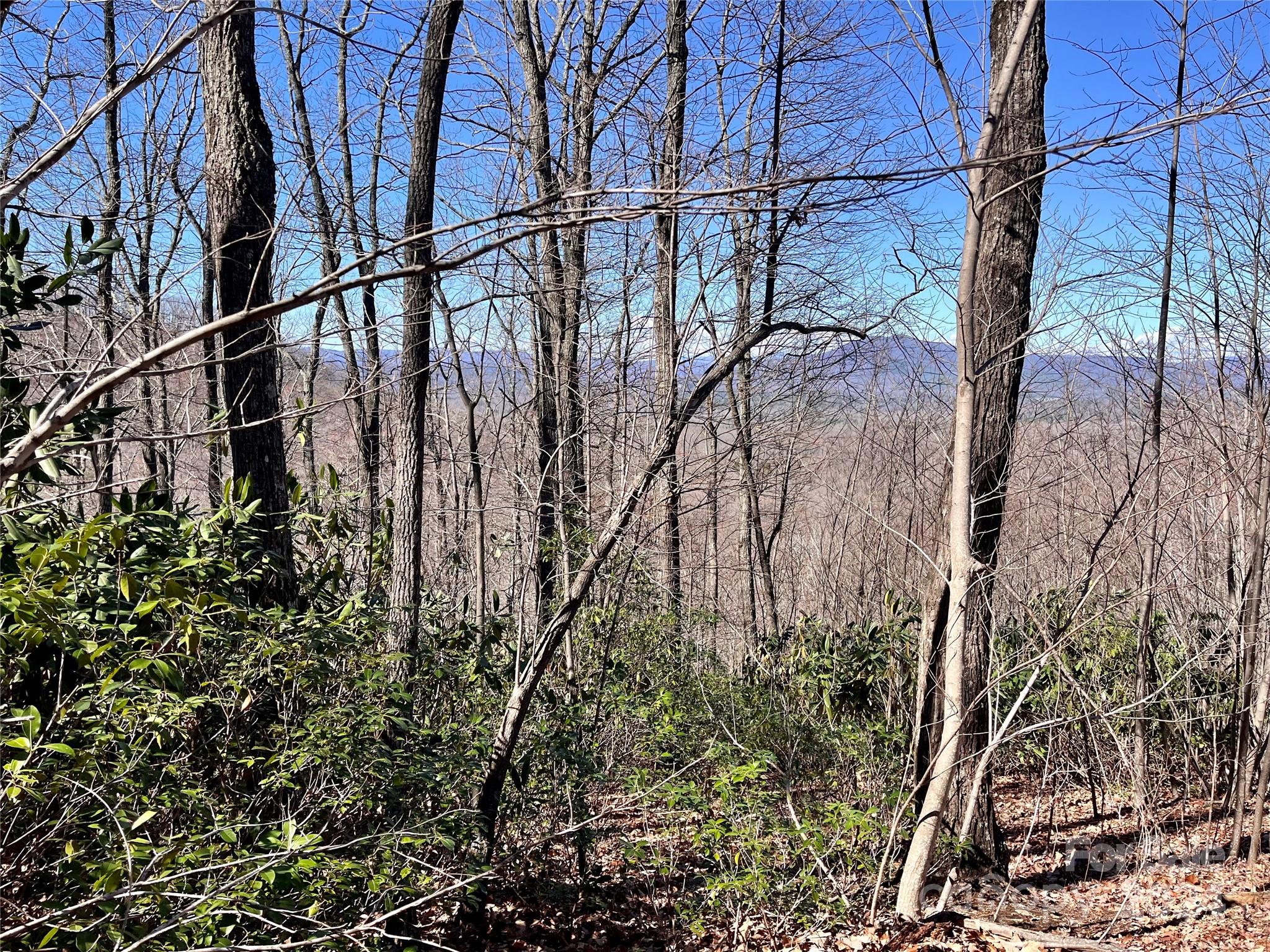 Forest Heights - Land