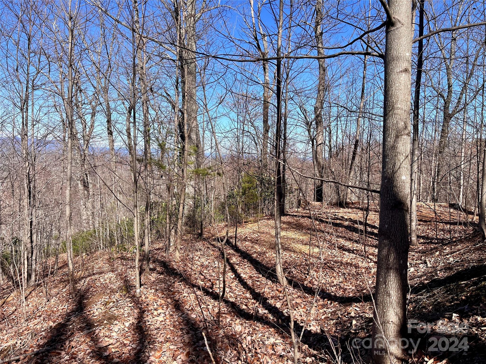 Forest Heights - Land