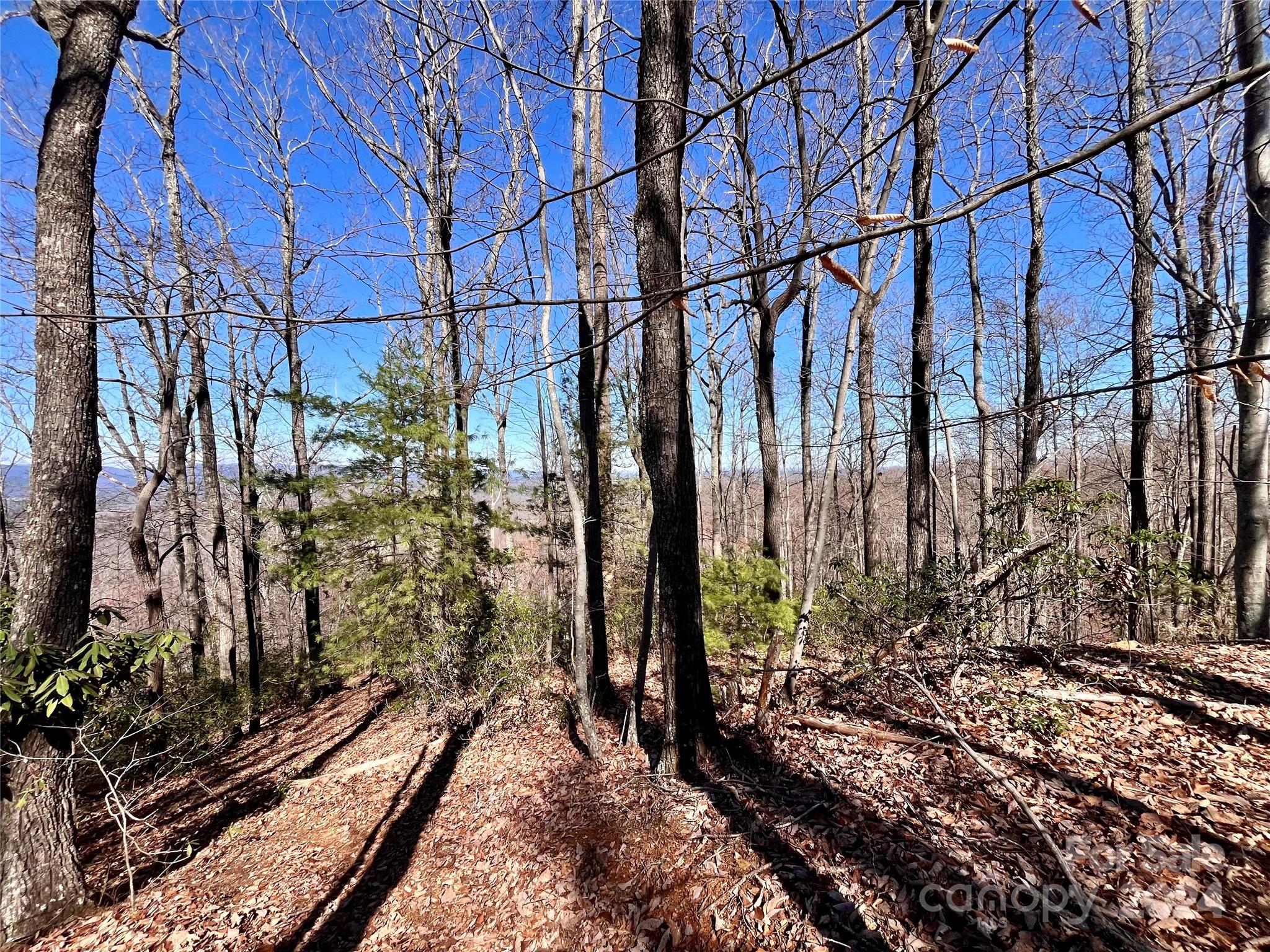 Forest Heights - Land