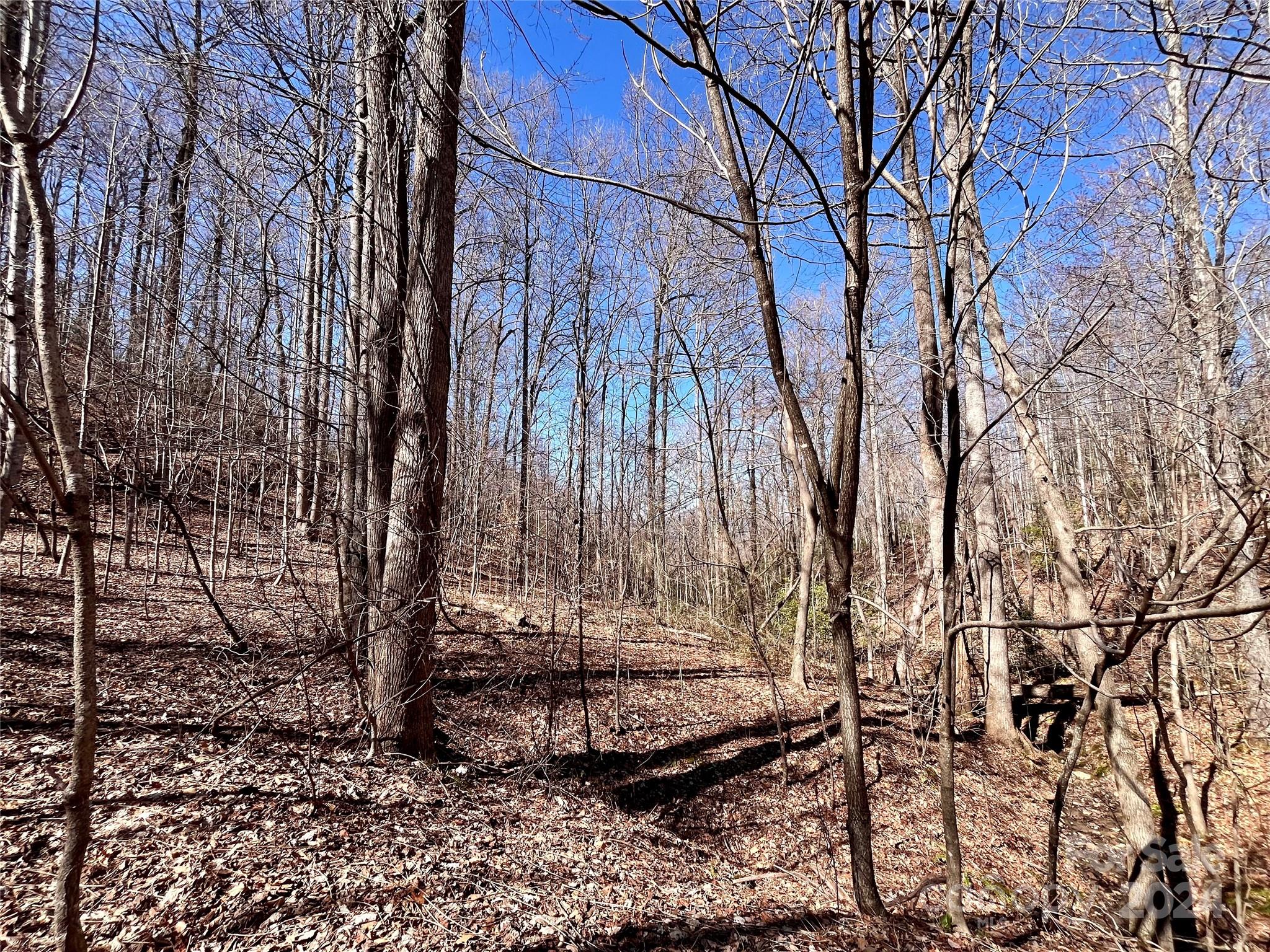 Forest Heights - Land