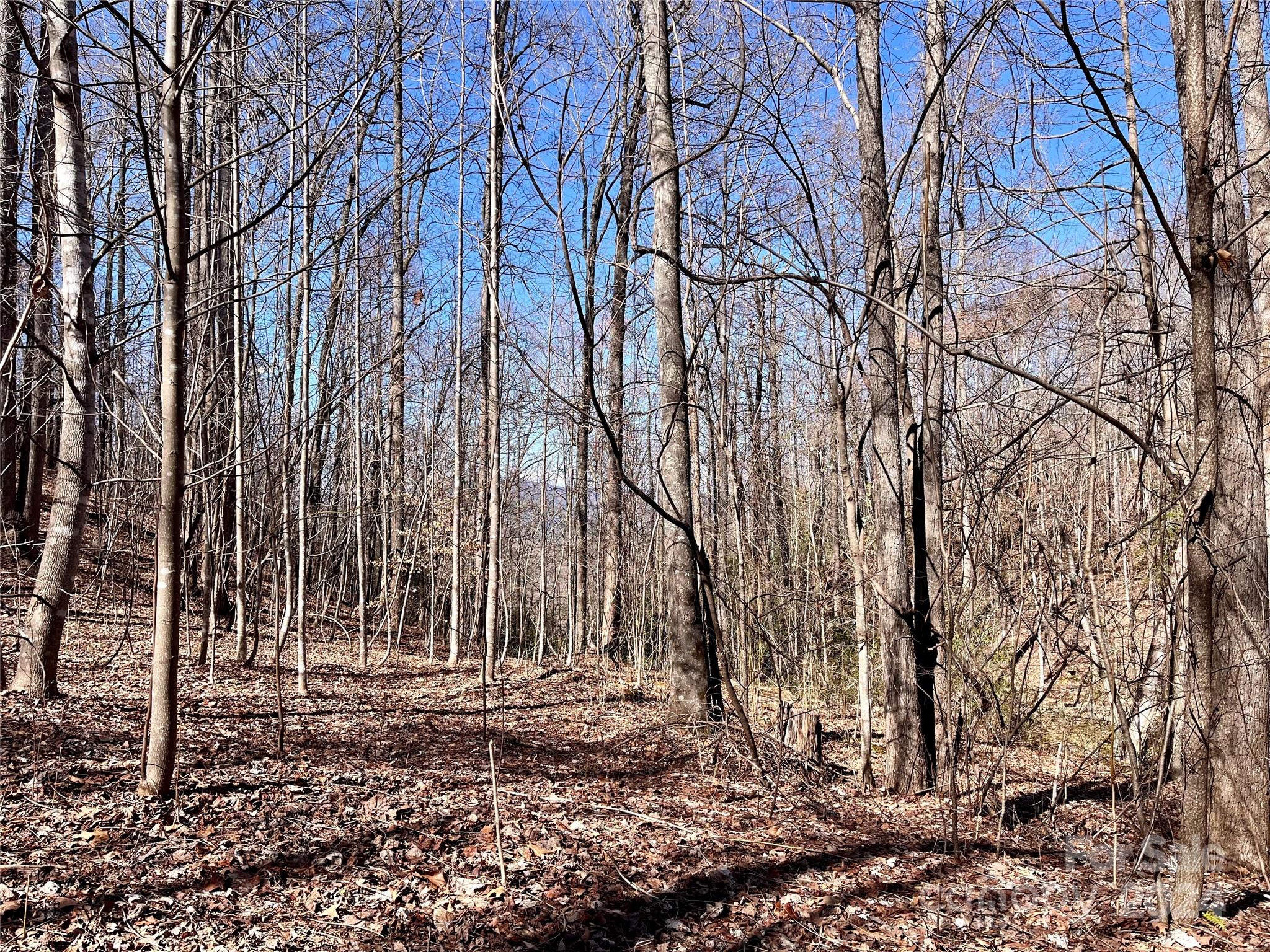 Forest Heights - Land