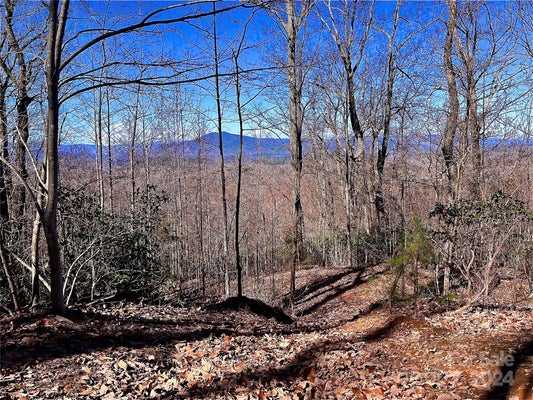 LOT 147 BIG VIEW DRIVE, MARION, NC 28752 - Image e7cfea4b7e6cdfdb1f0494a6ea00cd91/3877936172