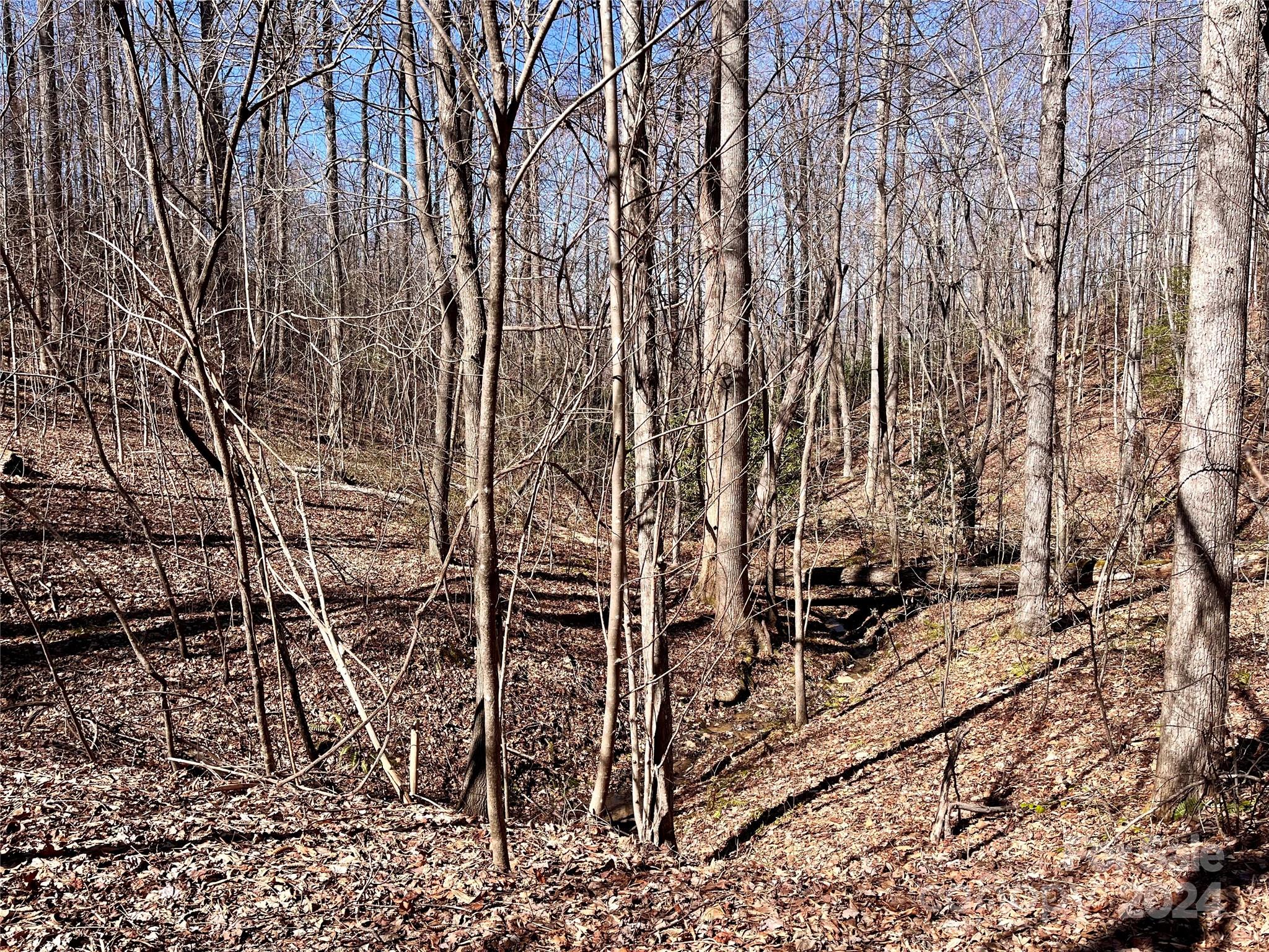 Forest Heights - Land