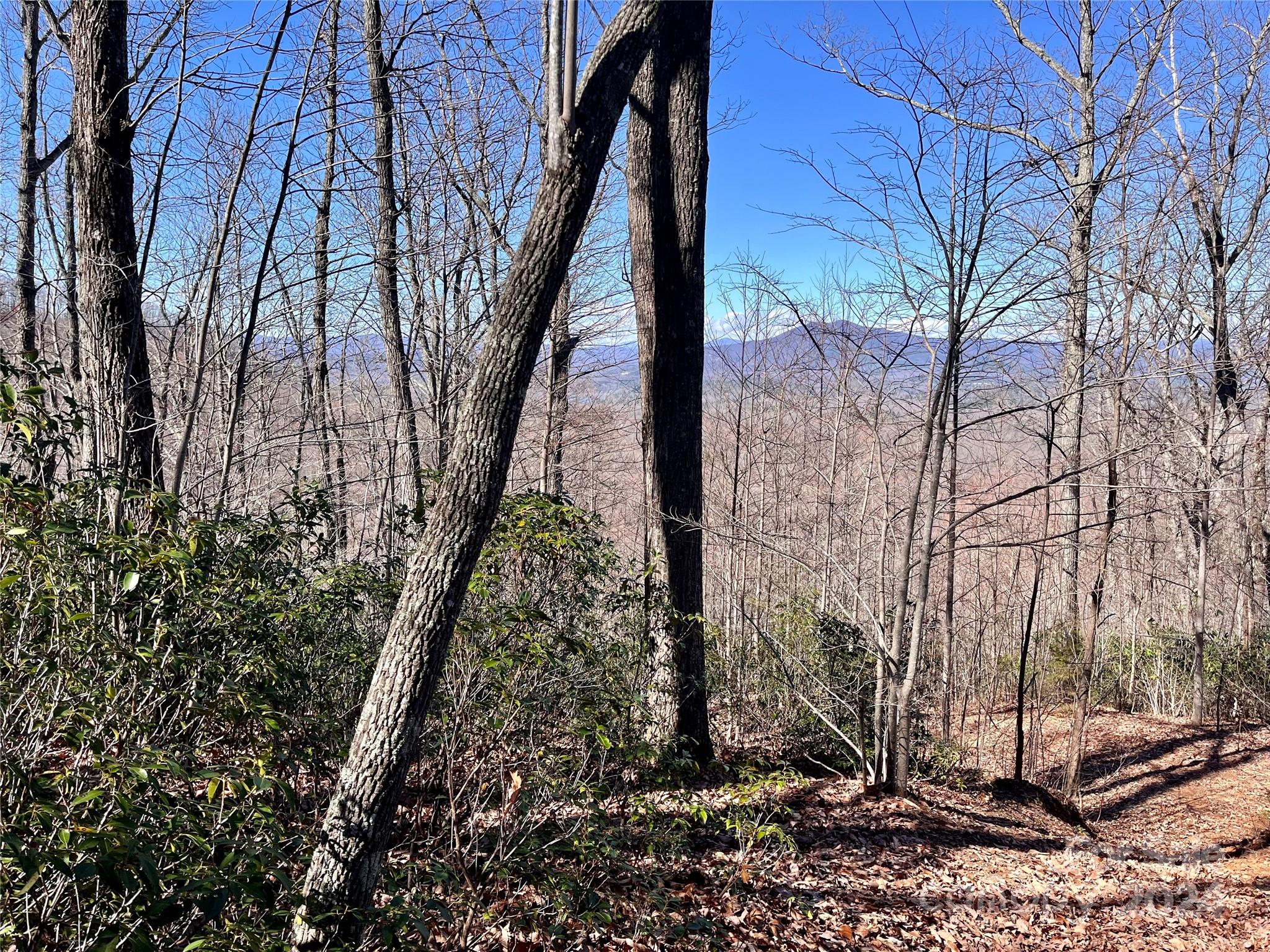 Forest Heights - Land