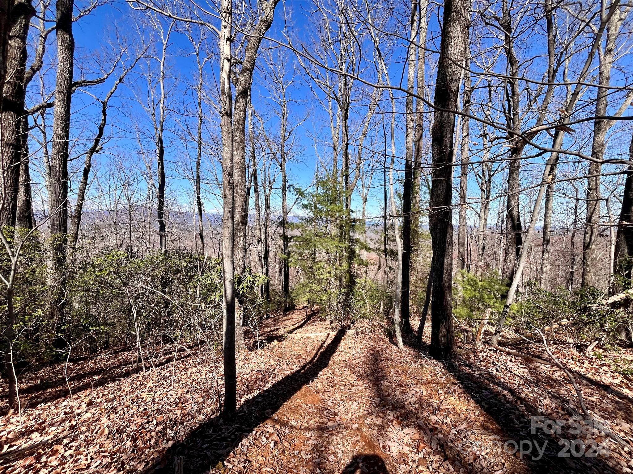 Forest Heights - Land