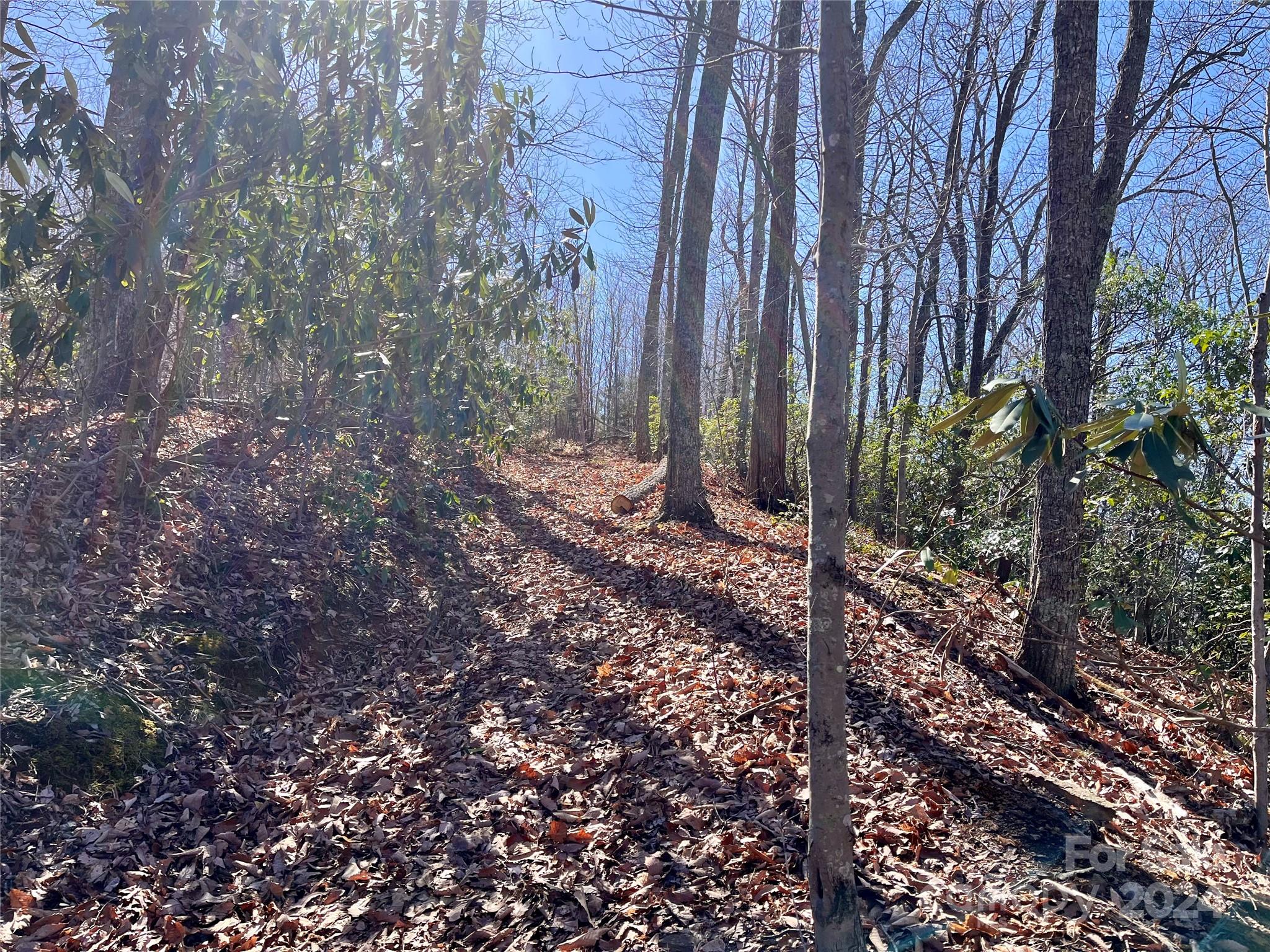 Forest Heights - Land