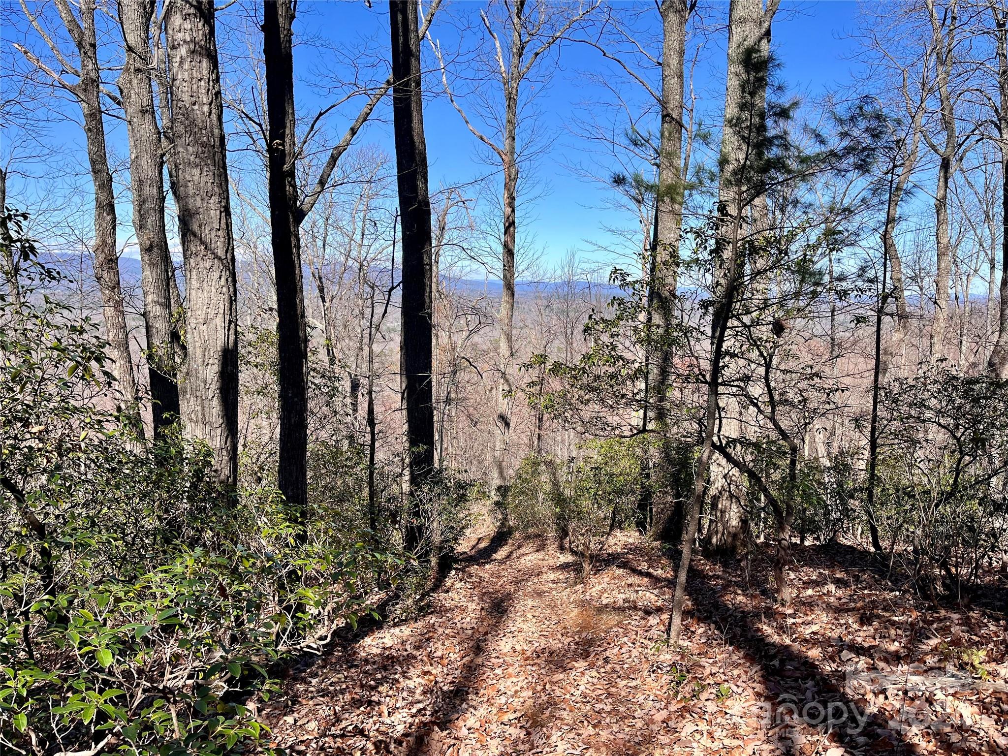 Forest Heights - Land