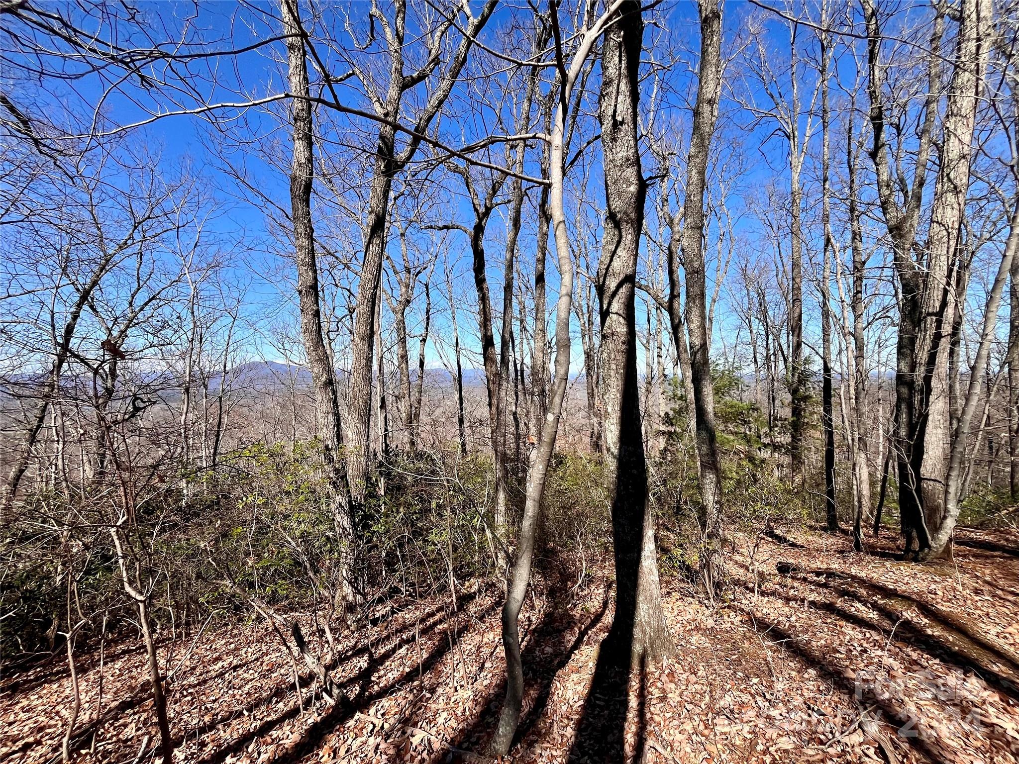 Forest Heights - Land