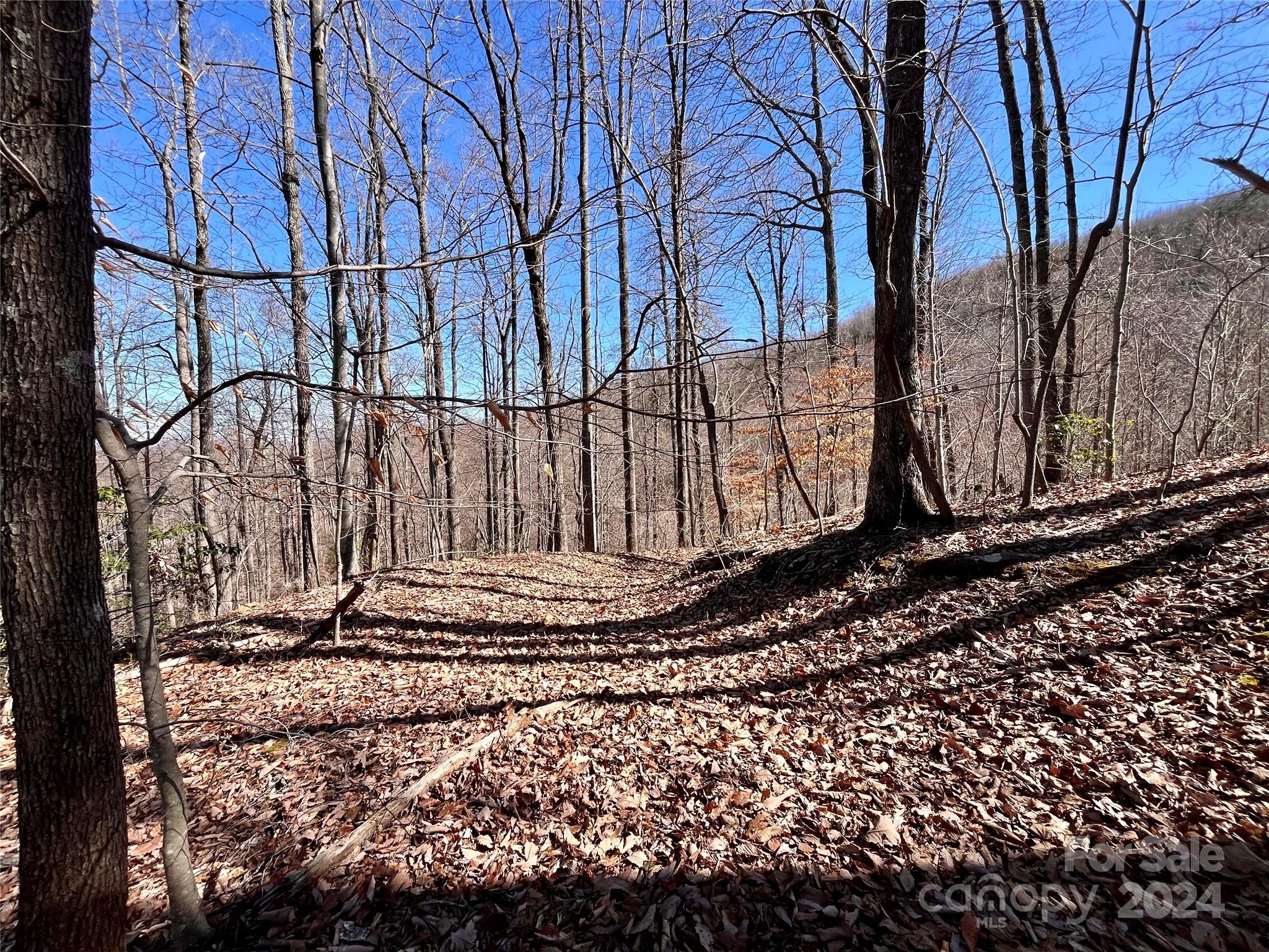 Forest Heights - Land