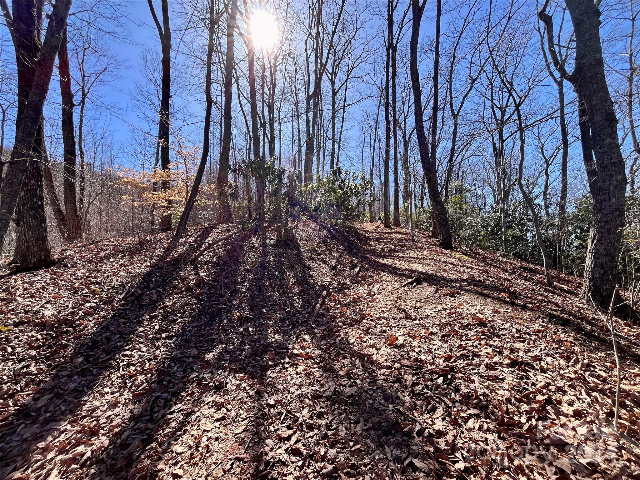 Forest Heights - Land