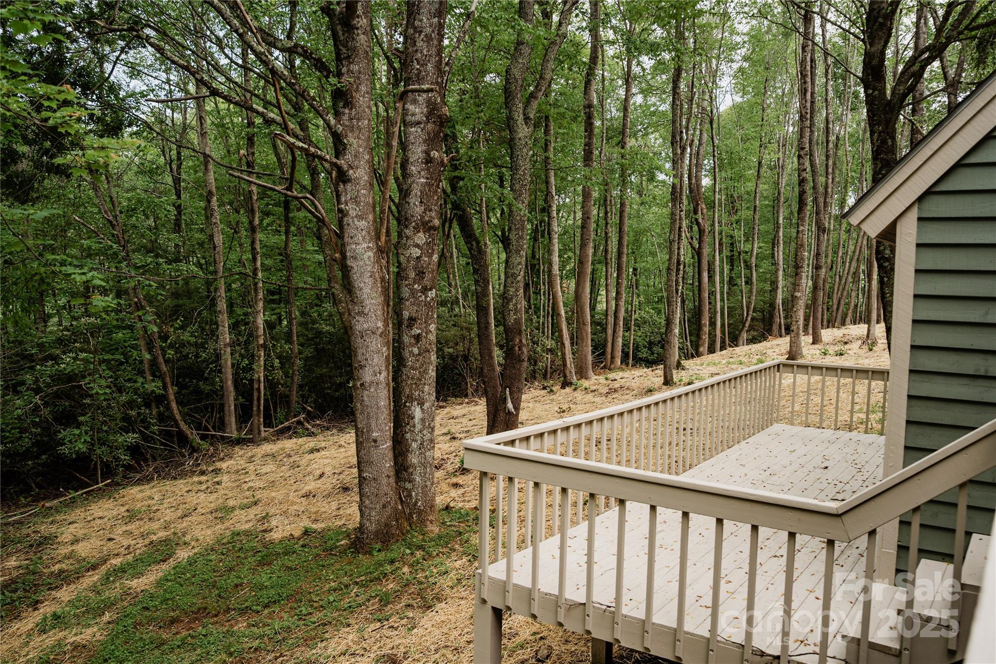 Boone, North Carolina 28607, United States, 4 Bedrooms Bedrooms, ,5 BathroomsBathrooms,Residential,Active,163125