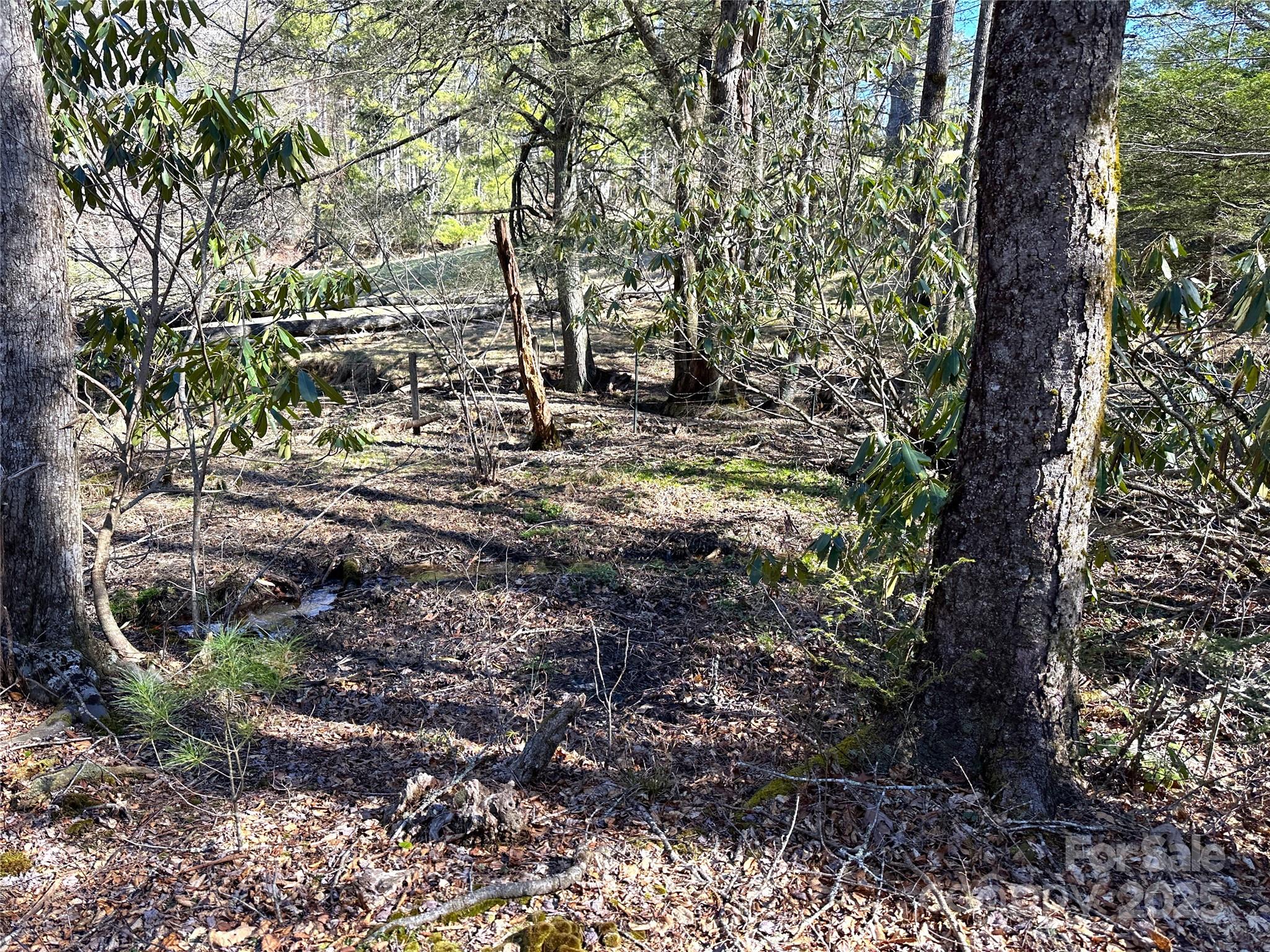 Boone, North Carolina 28607, United States, 4 Bedrooms Bedrooms, ,5 BathroomsBathrooms,Residential,Active,163125