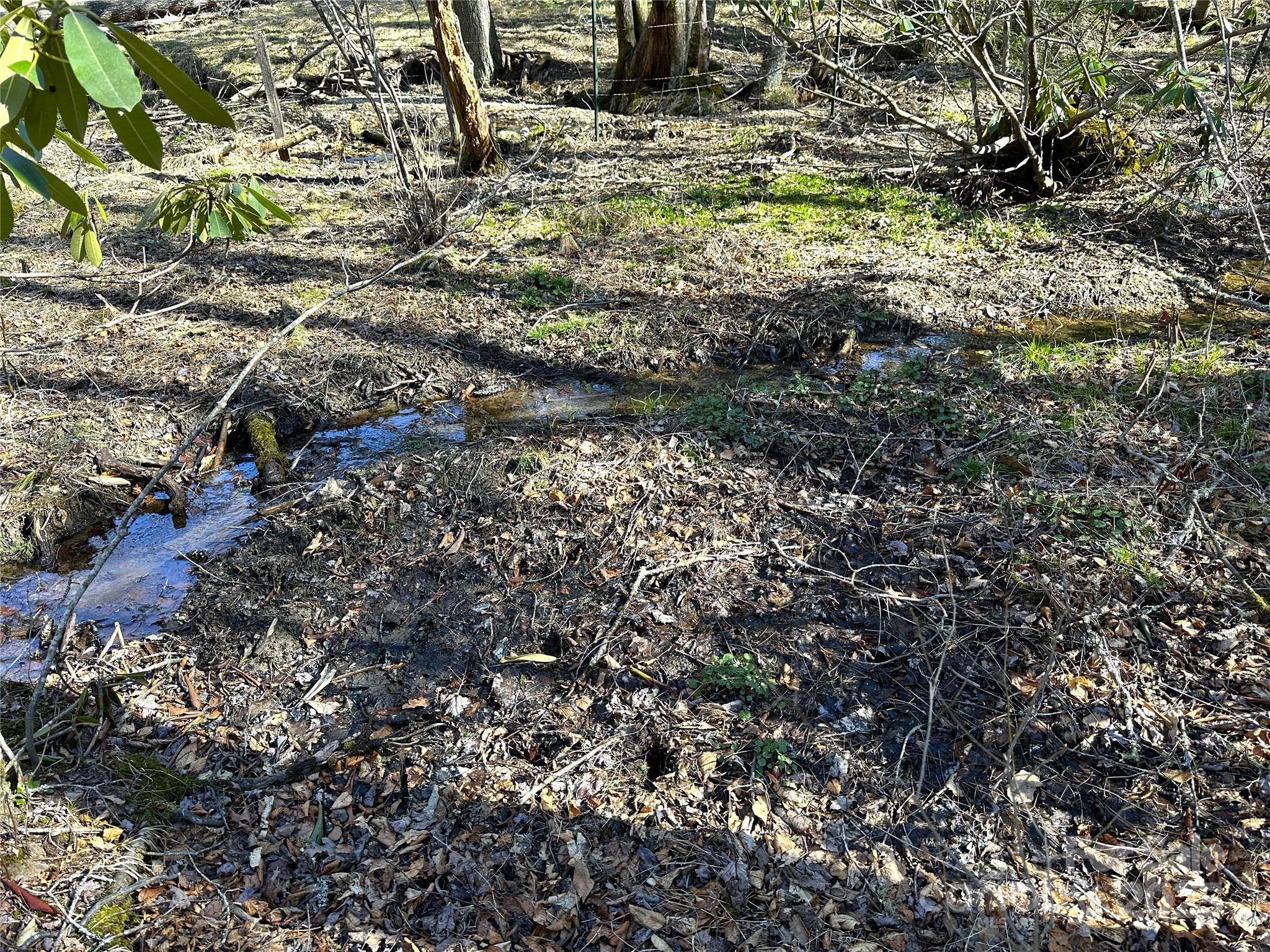 Boone, North Carolina 28607, United States, 4 Bedrooms Bedrooms, ,5 BathroomsBathrooms,Residential,Active,163125