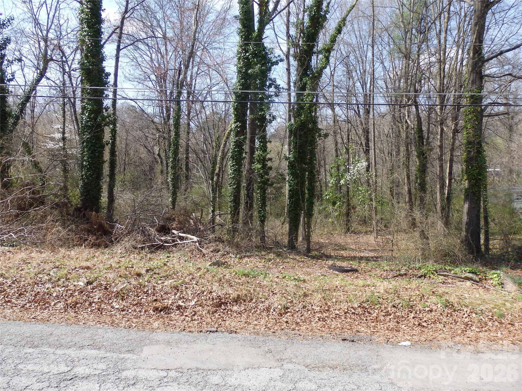 0 Chestnut Street 17-19