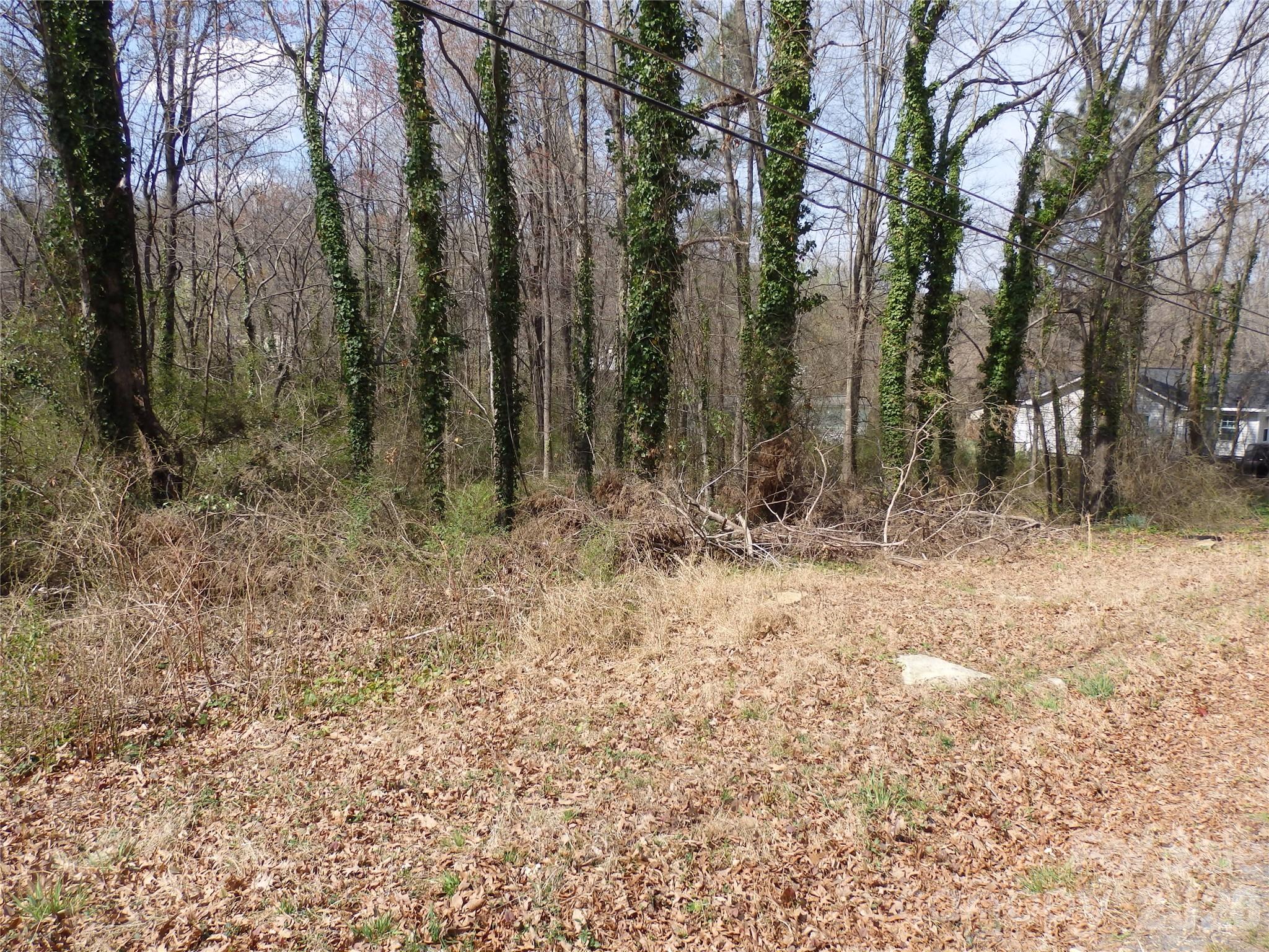 0 Chestnut Street 17-19