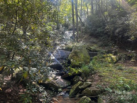 0000 Moss Hill Lane Lake Lure NC 28746