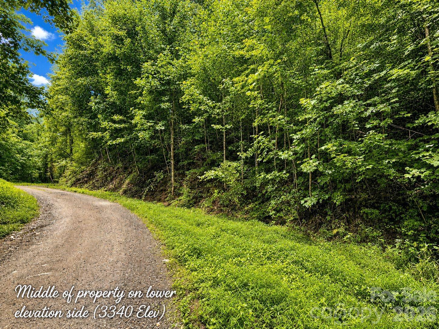 1000 Yonah Trail 7