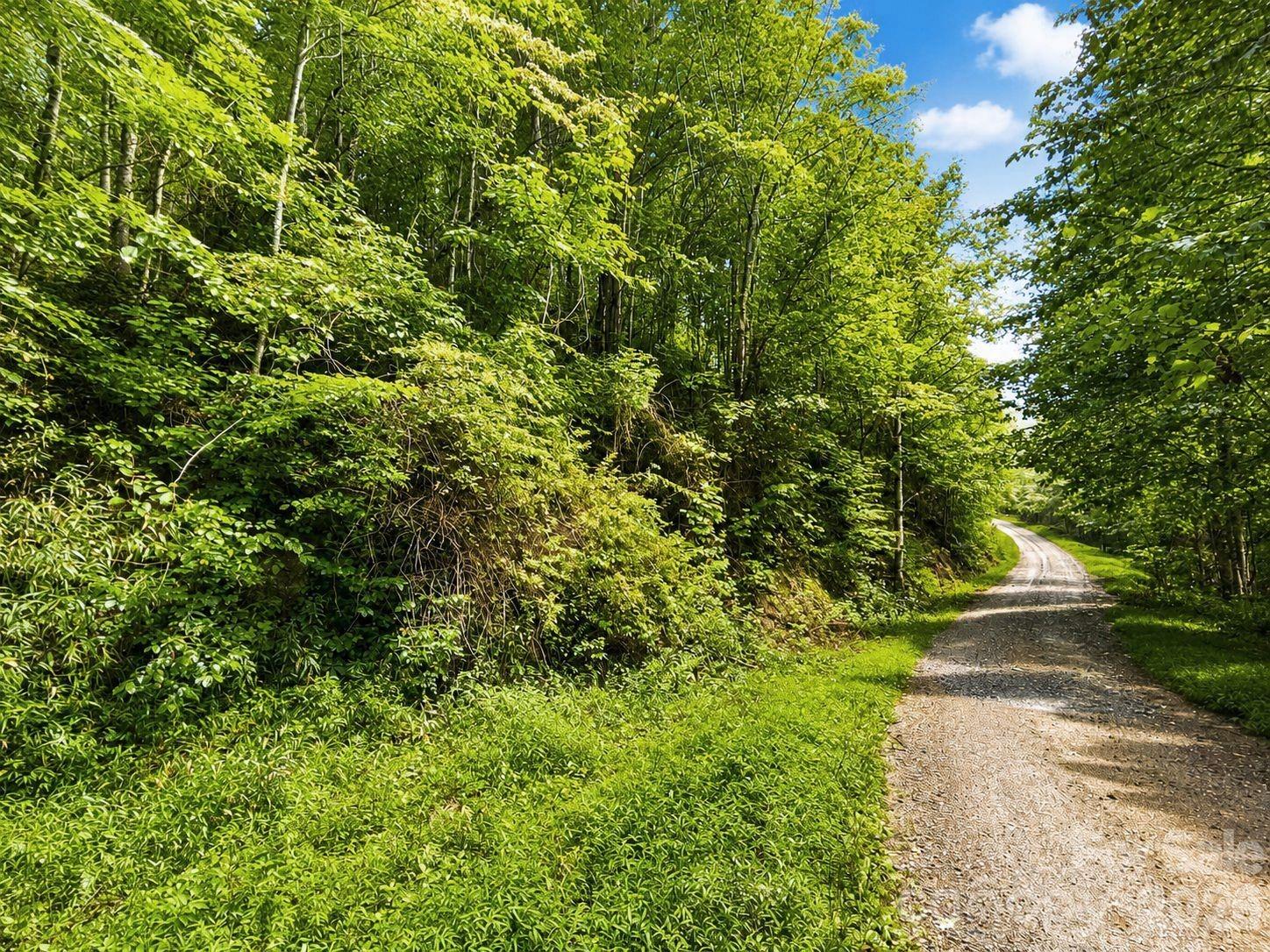 1000 Yonah Trail 7