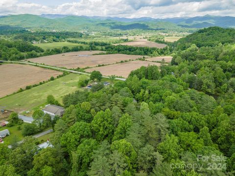 A home in Pisgah Forest