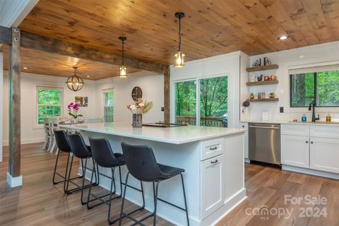 A home in Pisgah Forest