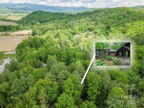 A home in Pisgah Forest