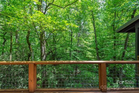 A home in Pisgah Forest