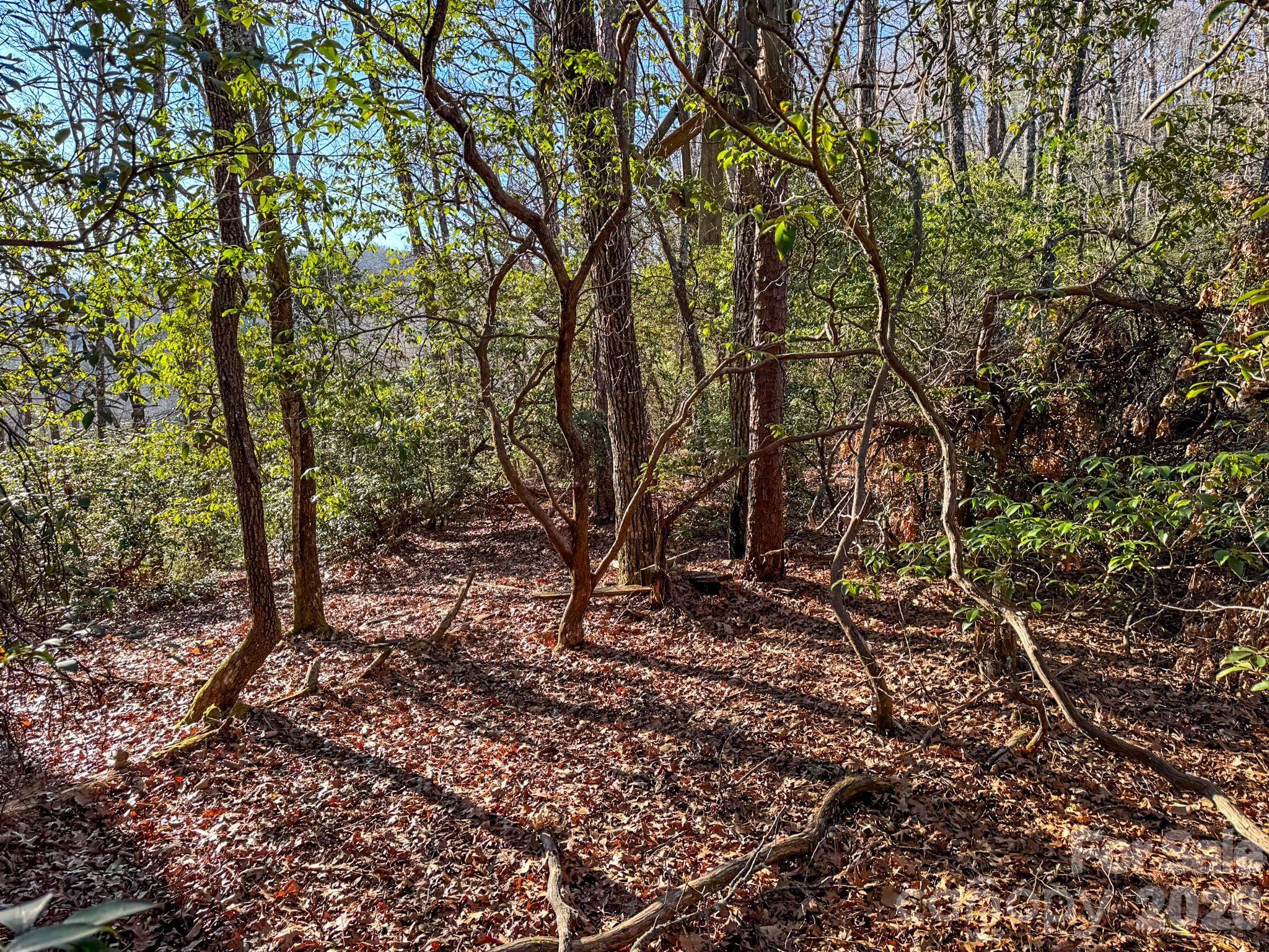 Homestead at Mills River - Land