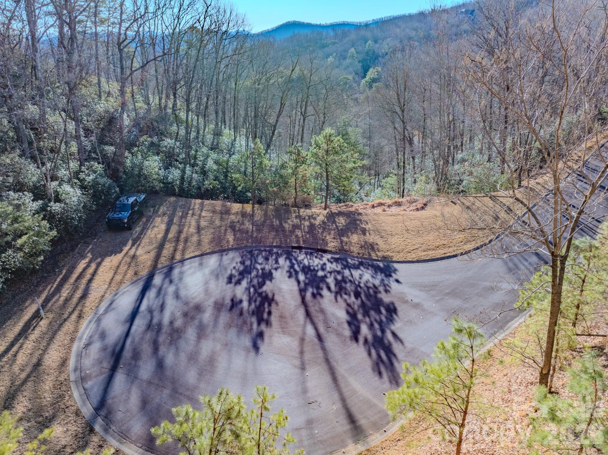 Homestead at Mills River - Land