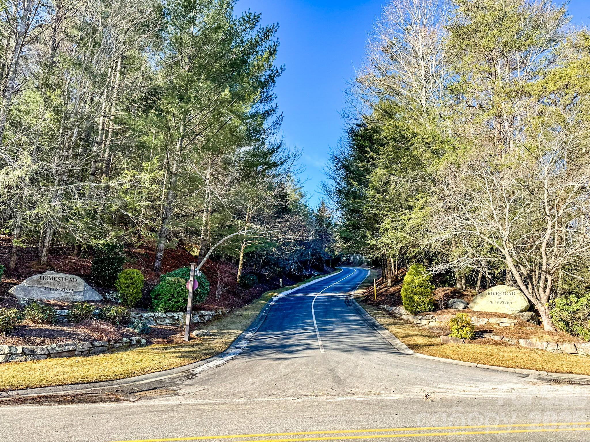 Homestead at Mills River - Land