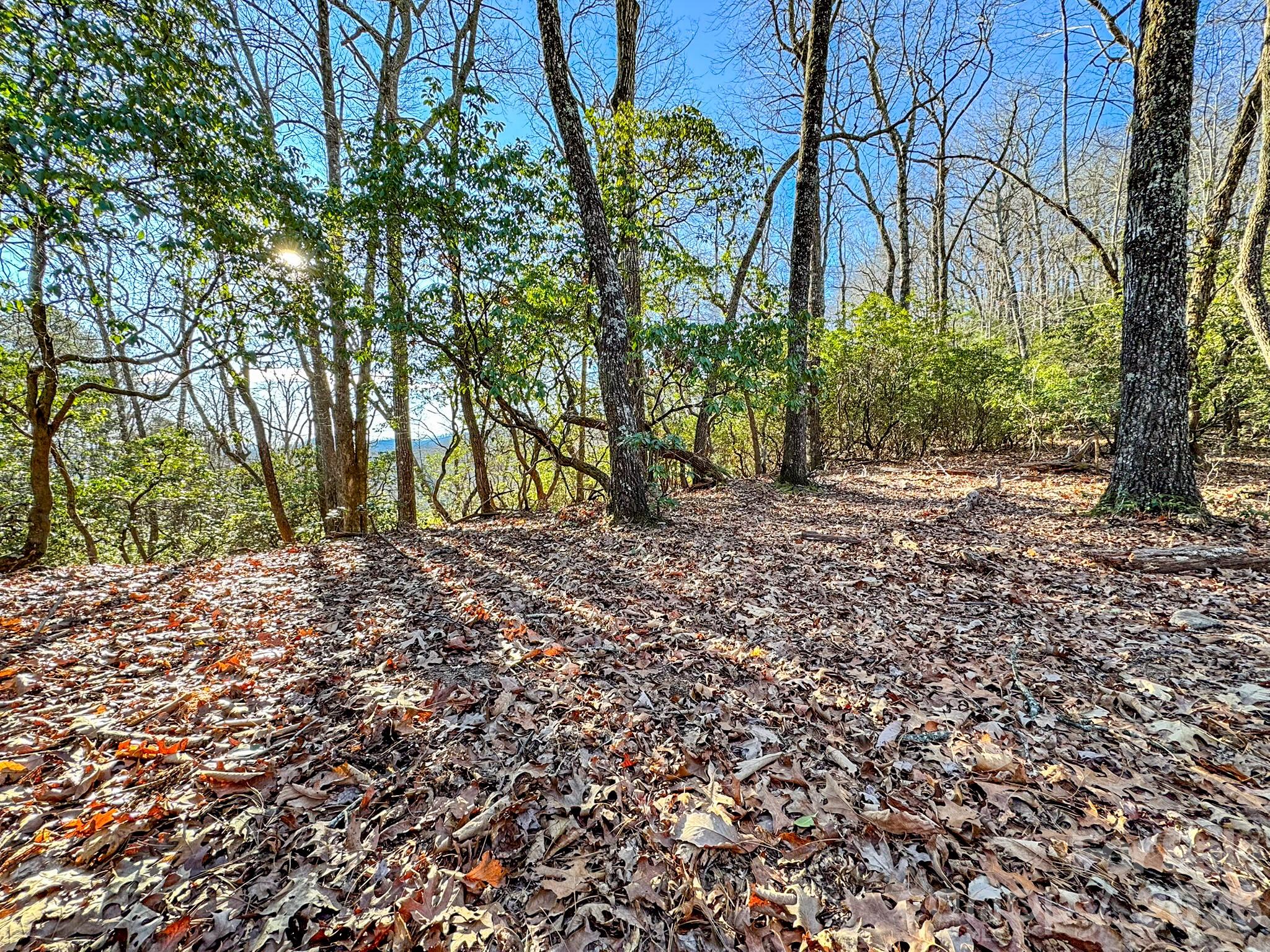 Homestead at Mills River - Land