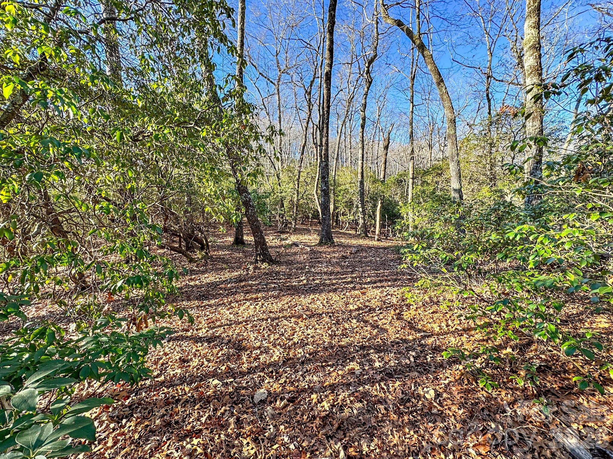 Homestead at Mills River - Land
