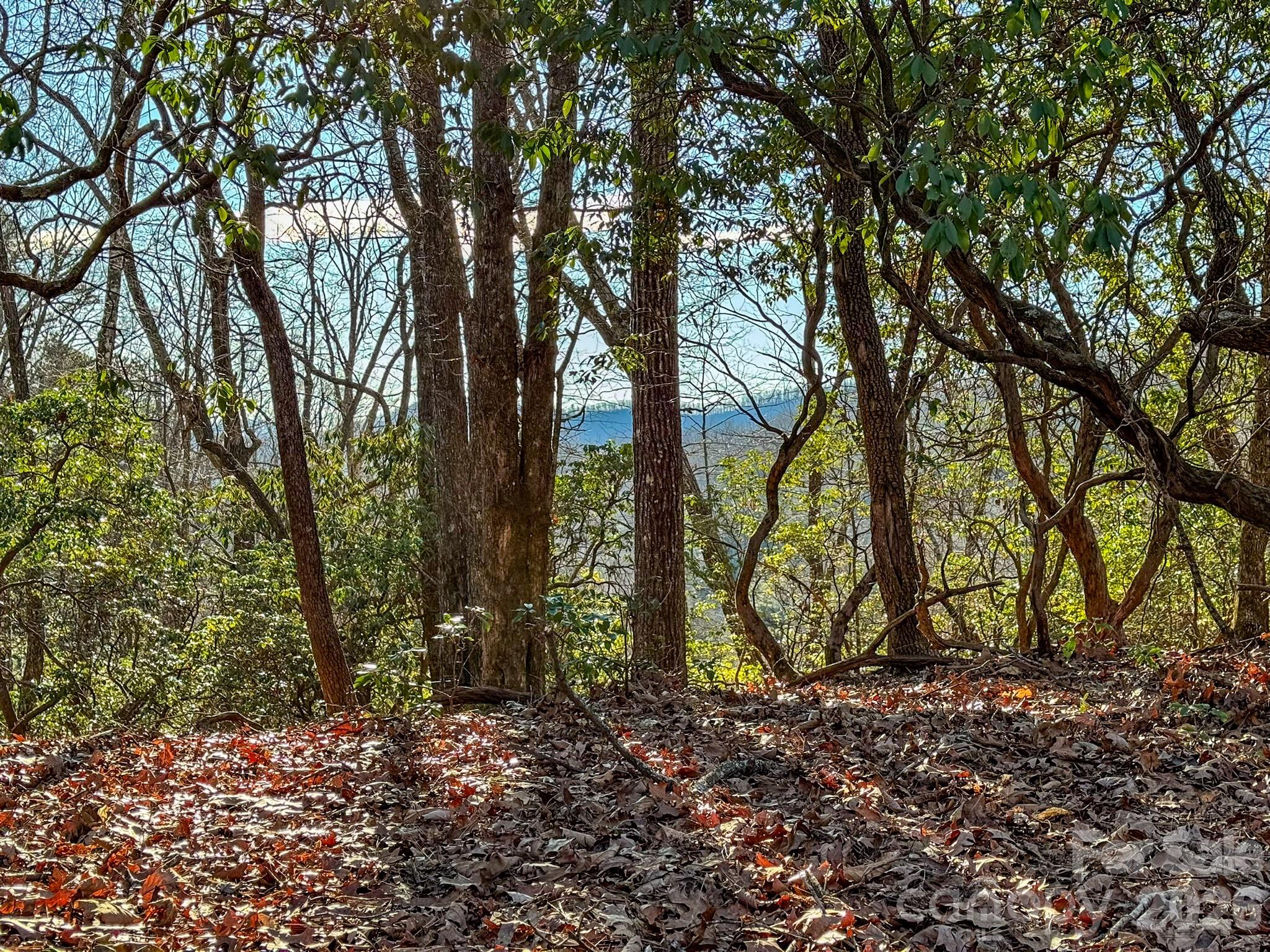 Homestead at Mills River - Land